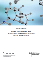 Abschlussbericht REACH-Überprüfung 2012