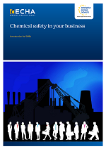Chemical safety in your business