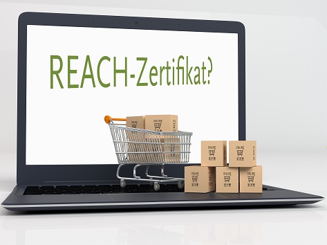 Online-Shopping- und Lieferservicekonzept – Stockfoto